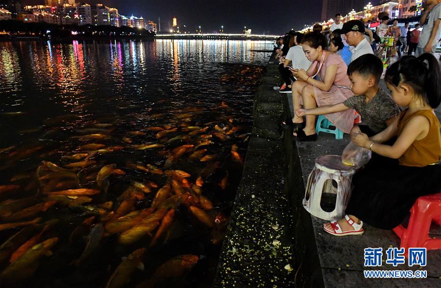 （環(huán)境）（4）福建福鼎：桐山溪畔人魚(yú)同樂(lè)